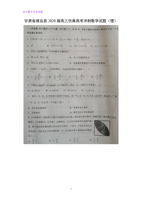 甘肃省靖远县2020届高三仿真高考冲刺数学试题(理)(解析版)