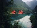 《系统解剖学》教学课件：008-动脉