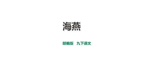 部编版九年级语文下册第4课《海燕》优秀课件(共74张PPT)