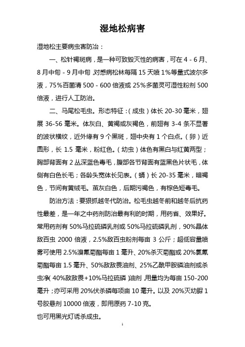 湿地松病害