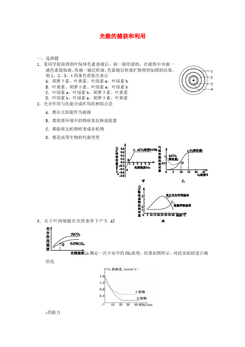 2022高中生物 3.2.3 光能的捕获和利用 21每课一练 中图版必修1