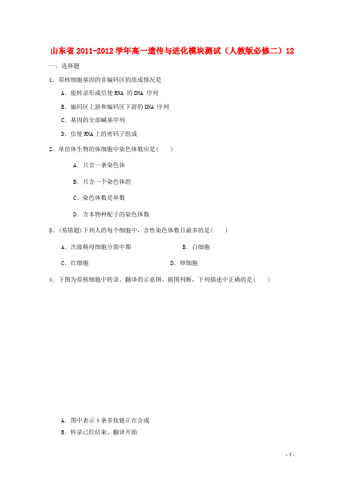 山东省高中生物遗传与进化模块测试12 新人教版必修2