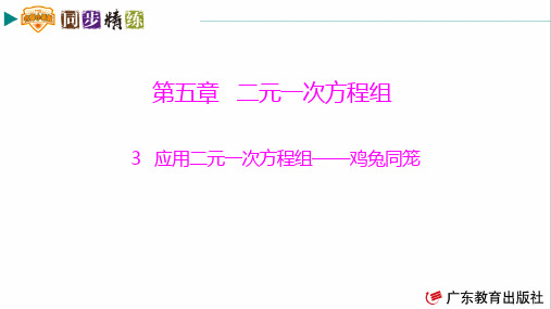 秋同步精练3数学八上(应用二元一次方程组——鸡兔同笼)