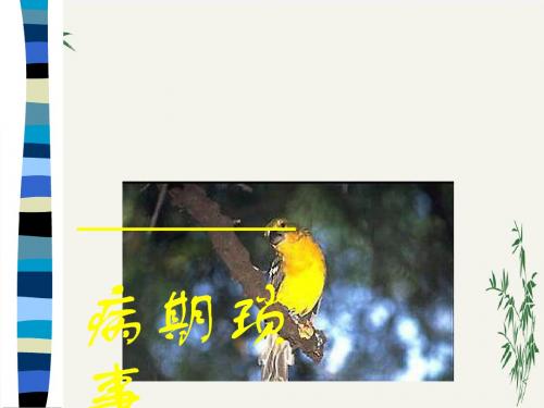 黄鹂PPT(优秀课件)17 人教版