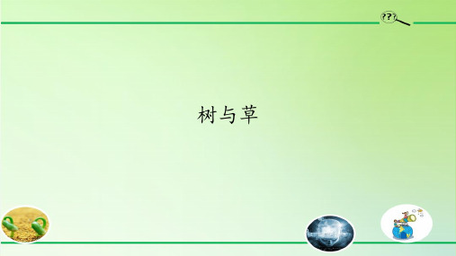 三年级下册科学课件 3.植物与我们的生活 冀人版  42张PPT