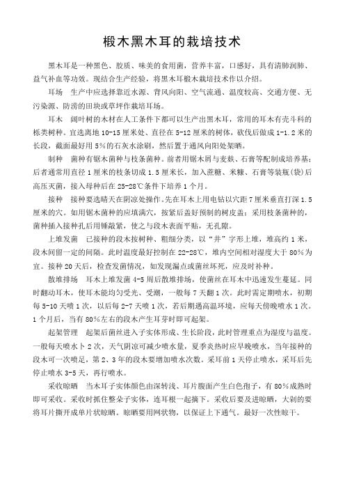椴木黑木耳的栽培技术