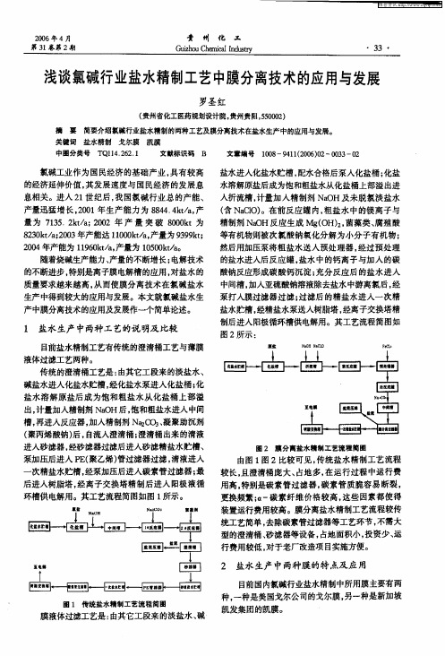浅谈氯碱行业盐水精制工艺中膜分离技术的应用与发展