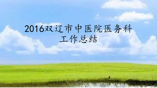 医务科总结ppt课件