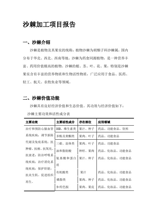 沙棘项目