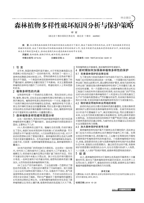 森林植物多样性破坏原因分析与保护策略