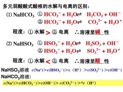 专题二：溶液中离子浓度大小的判断[1]