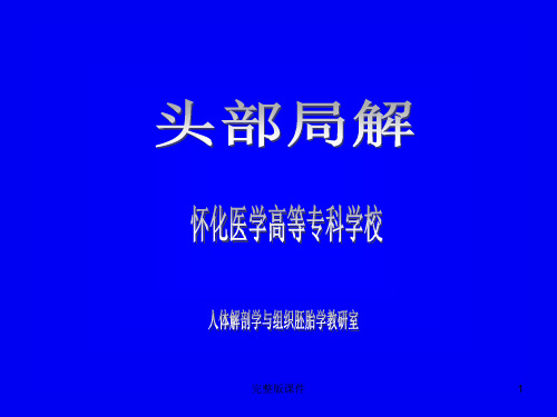 头部解剖ppt课件