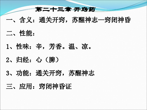 第二十三章开窍药