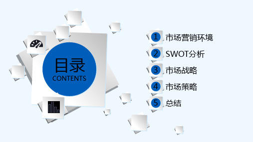 华为市场营销策划-PPT