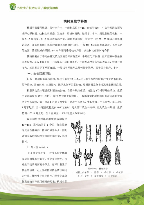 设施果树生产桃树生物学特性技术资料1概要