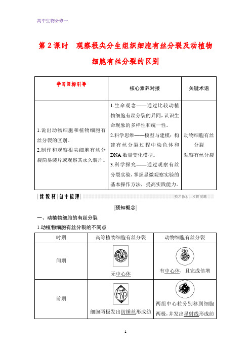 高中生物必修1：6.1.2 观察根尖分生组织细胞有丝分裂及动植物细胞有丝分裂的区别学案