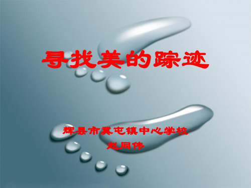 寻找美的踪迹-课件