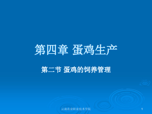 第四章蛋鸡生产3产蛋期的饲养管理PowerPoint