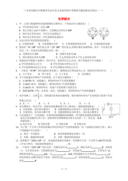 广东省河源市中国教育学会中英文实验学校中考物理专题训练电学综合(一)