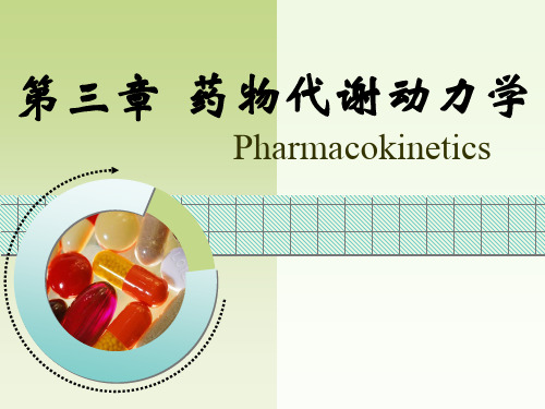 药物代谢动力学