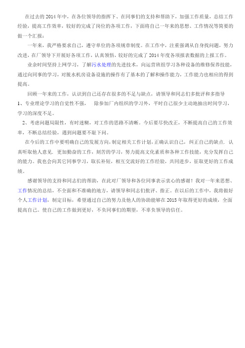 个人工作总结2015年工作计划