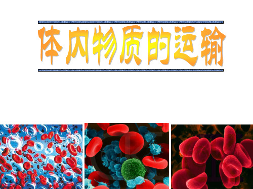 九年级科学上册 第四章 第三节体内物质的运输1