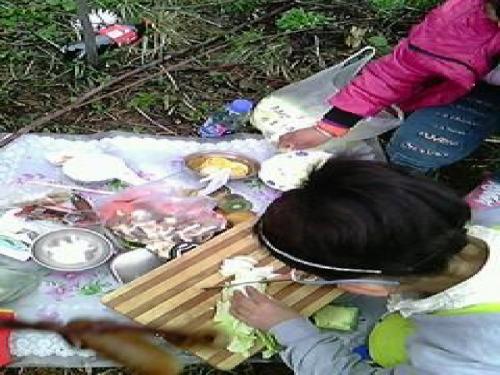 人教版七年级下册第三课走向自立人生第一框自己的事自己干