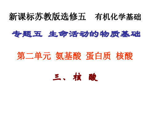 高二化学核酸课件