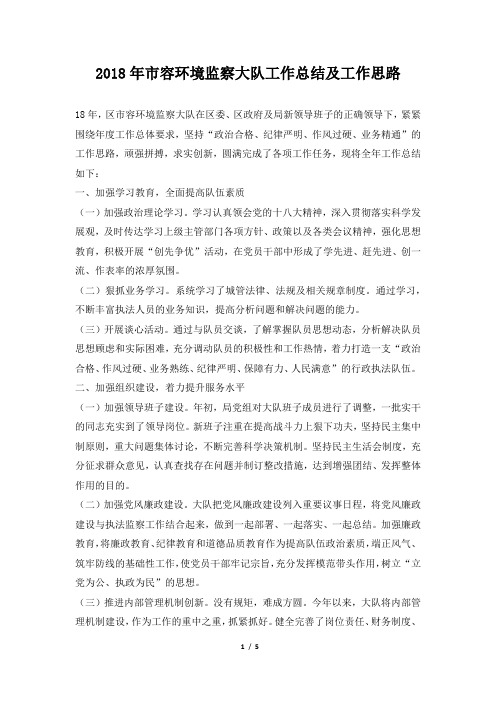 市容环境监察大队工作总结及工作思路