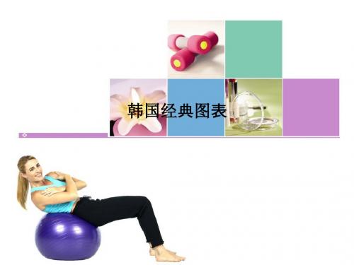 韩国经典图表PPT课件