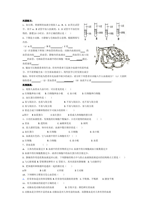 巩固练习