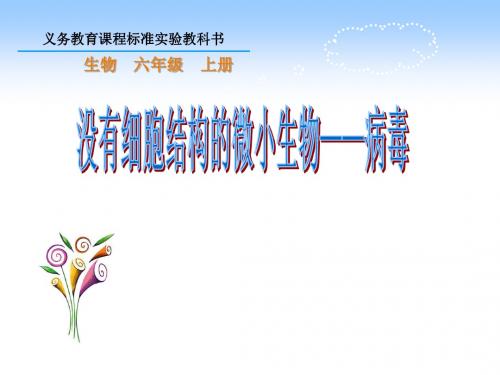 说课课件 没有细胞结构的微小生物——病毒