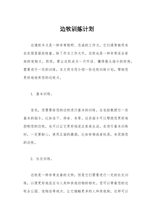 边牧训练计划