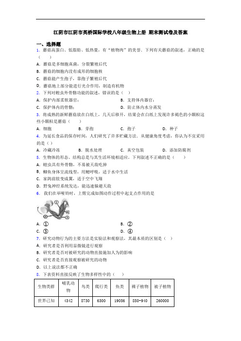 江阴市江阴市英桥国际学校八年级生物上册 期末测试卷及答案