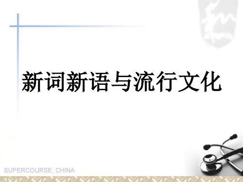 人教课标版高中语文必修1《新词新语与流行文化》公开课课件