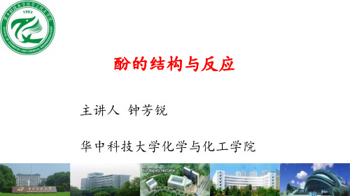 酚的结构与反应