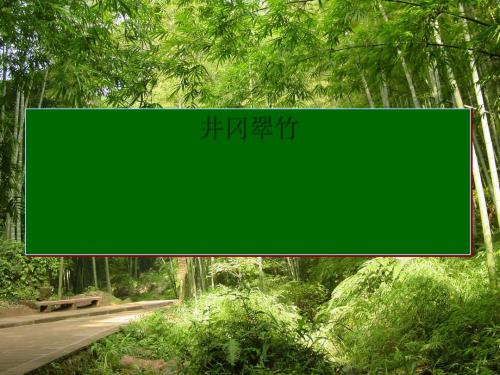 六下《井冈翠竹》ppt课件1全面版