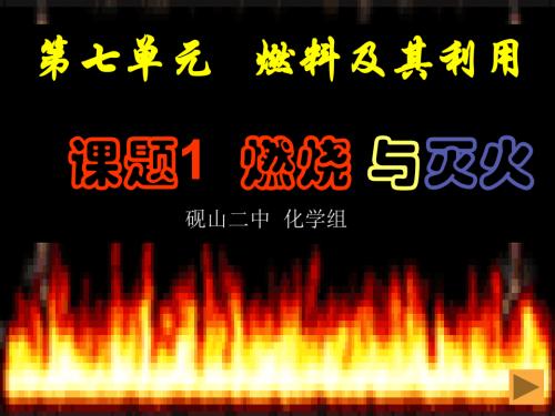 燃烧与灭火 PPT教学课件29 鲁教版