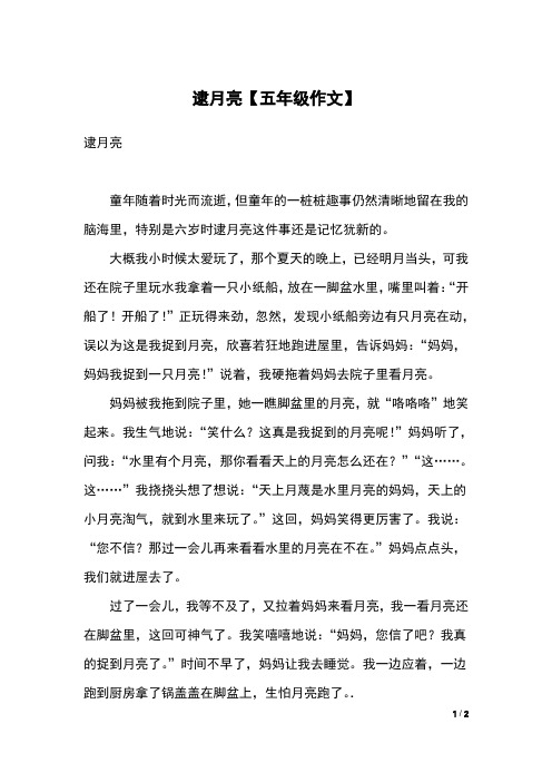 逮月亮【五年级作文】