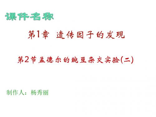 高一生物孟德尔的豌豆杂交实验3