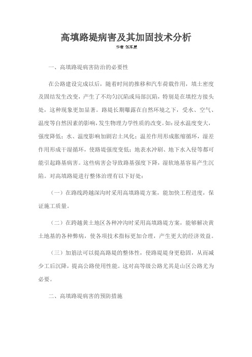 高填路堤病害及其加固技术分析