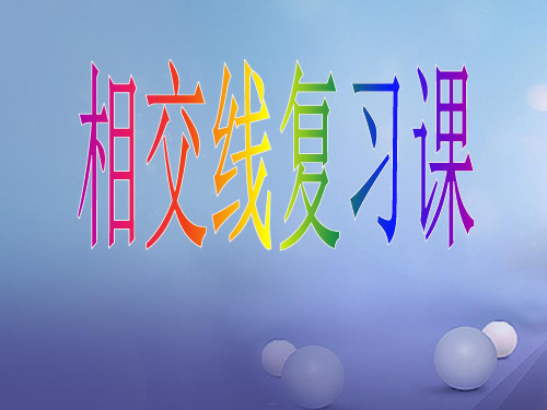 相交线与平行线_课件完美版1