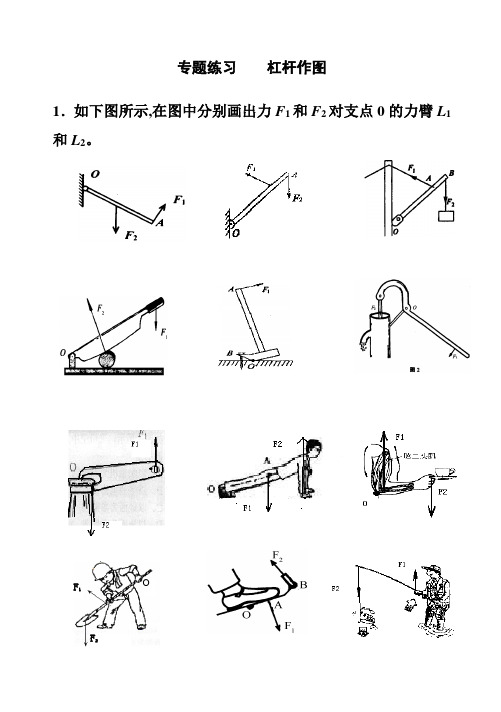 专题练习杠杆作图