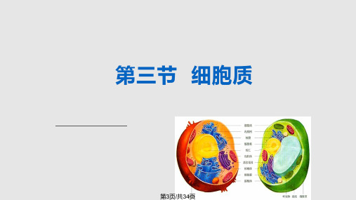 细胞质PPT课件