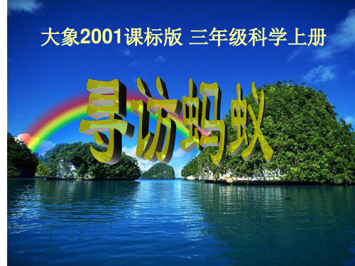 《寻访蚂蚁》ppt课件