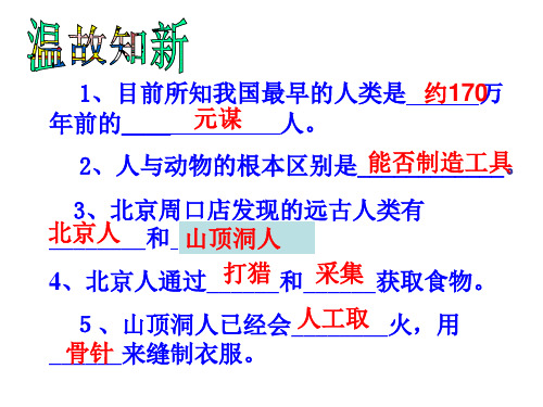 人教部编版历史《原始农耕生活》免费课件