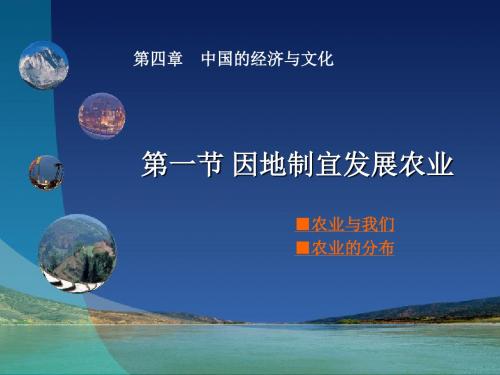 星球地理八年级上册第四章第一节 因地制宜发展农业 (共18张PPT)