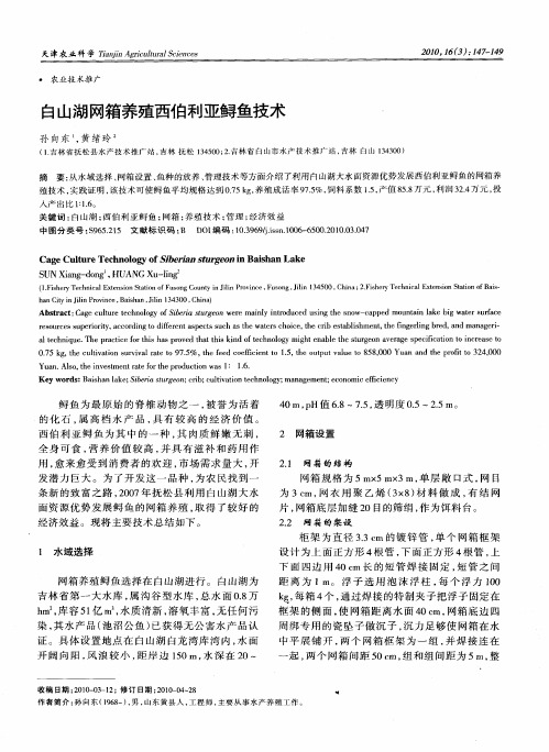 白山湖网箱养殖西伯利亚鲟鱼技术