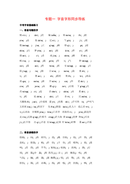 中考语文复习第一部分积累与运用专题一字音字形同步导练(含答案)