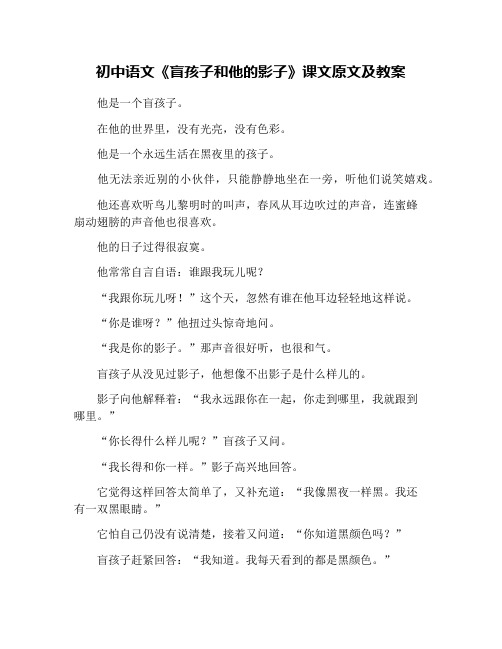 初中语文《盲孩子和他的影子》课文原文及教案